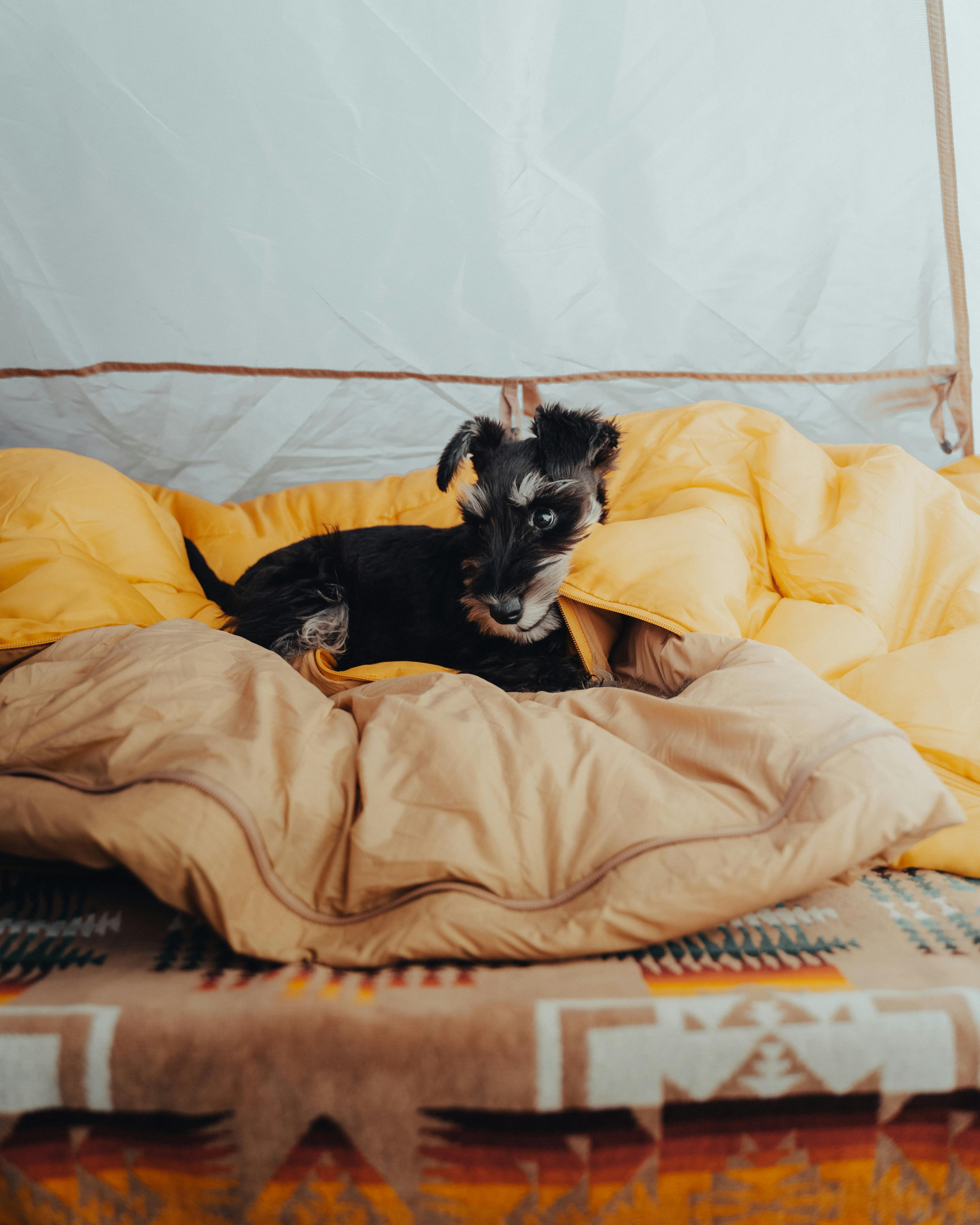 MountainNest Sleeping Bag